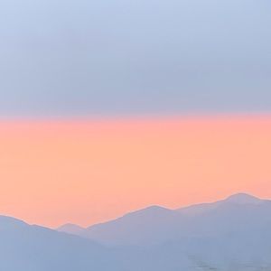 Meet your Posher, Evie